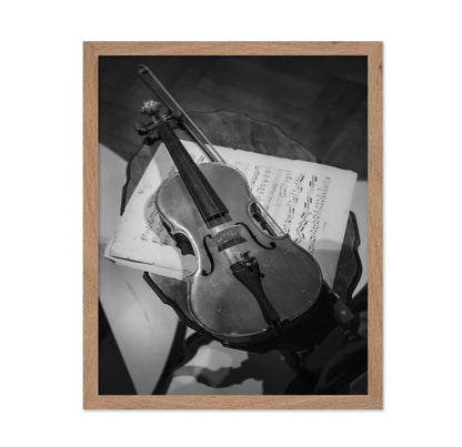 Violin Photography