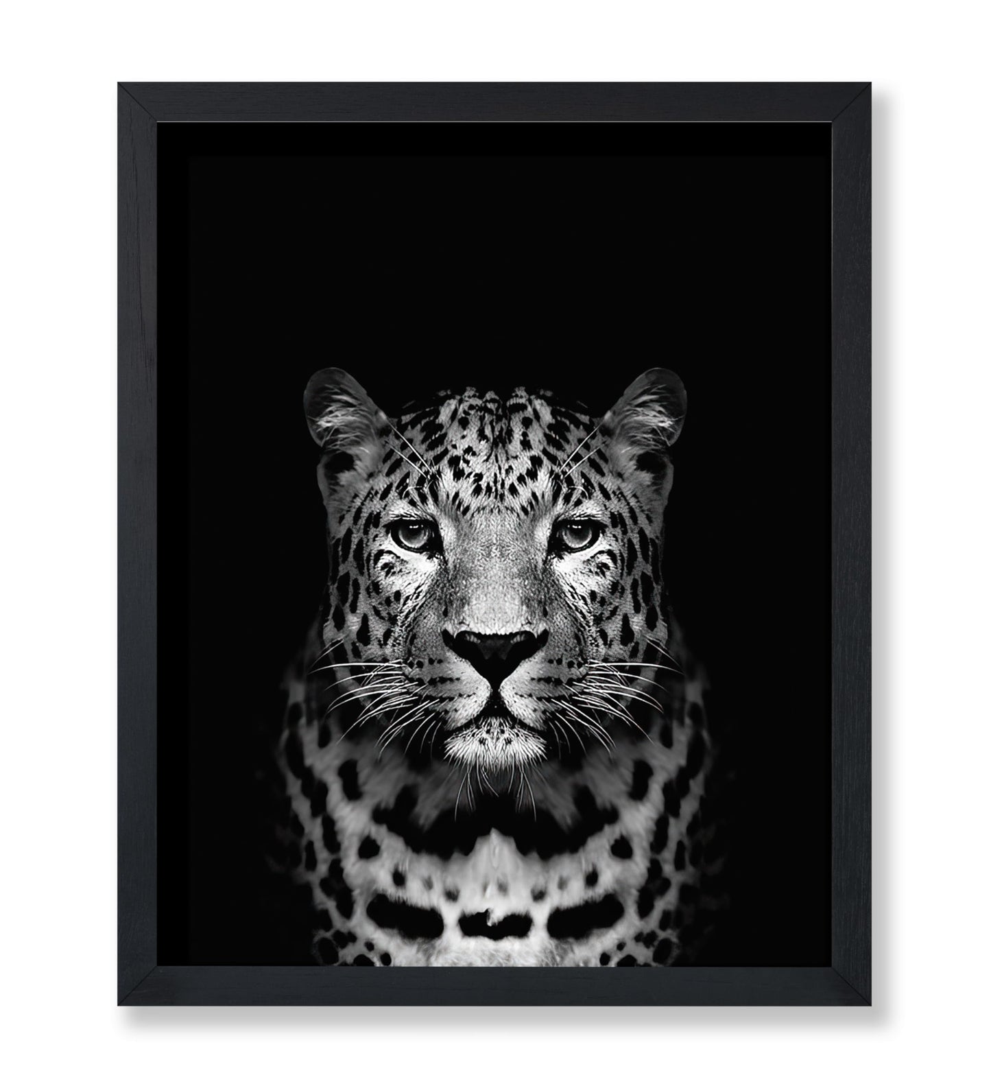 Tiger No3