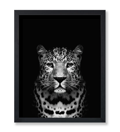 Tiger No3