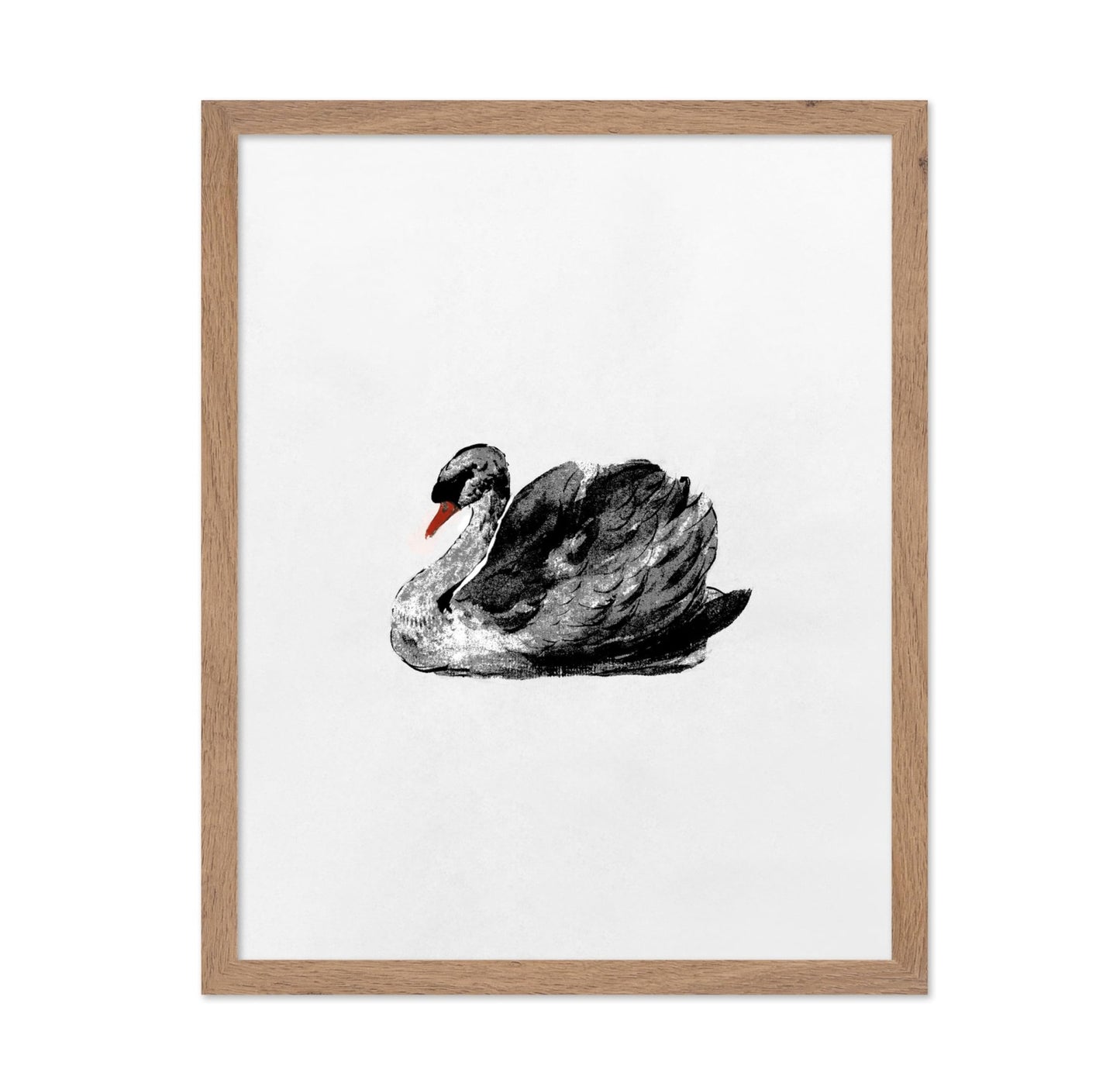Swan Portrait No2