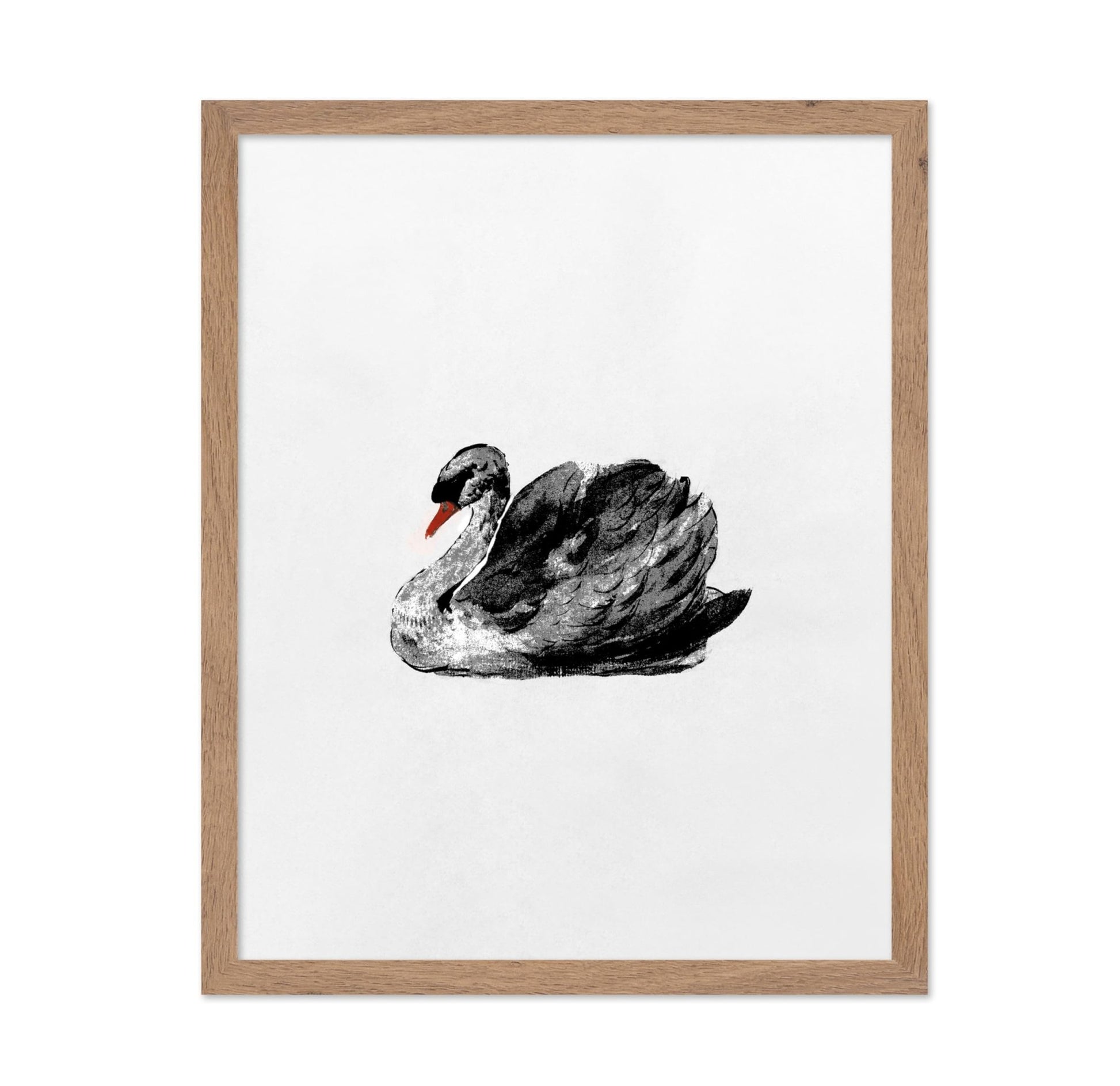 Swan Portrait No2