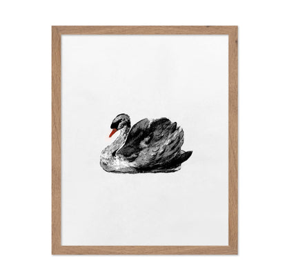 Swan Portrait No2