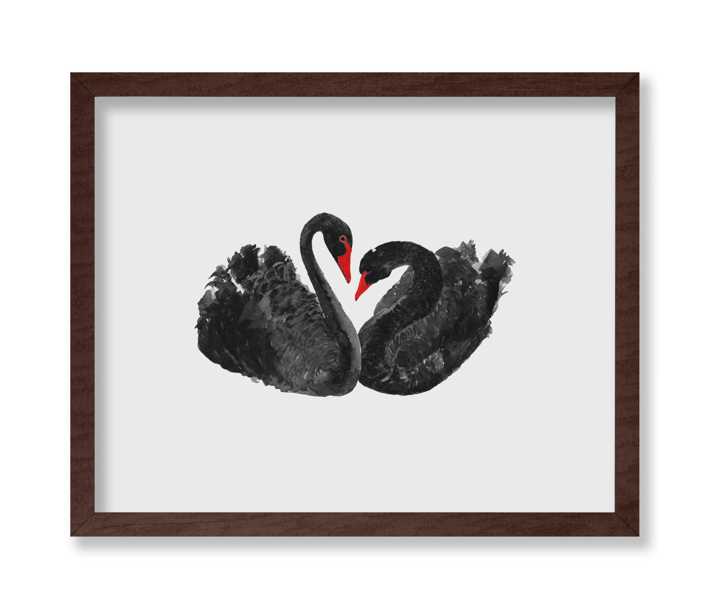Black Swans