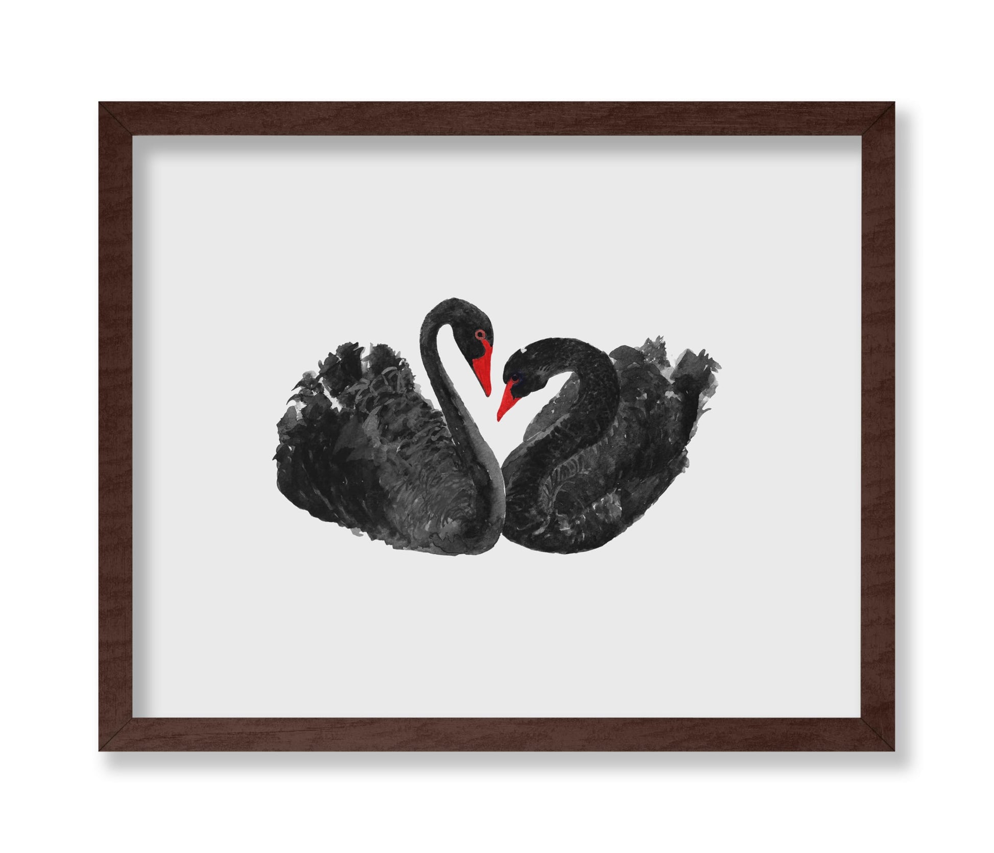 Black Swans