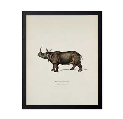 Indian Rhinoceros