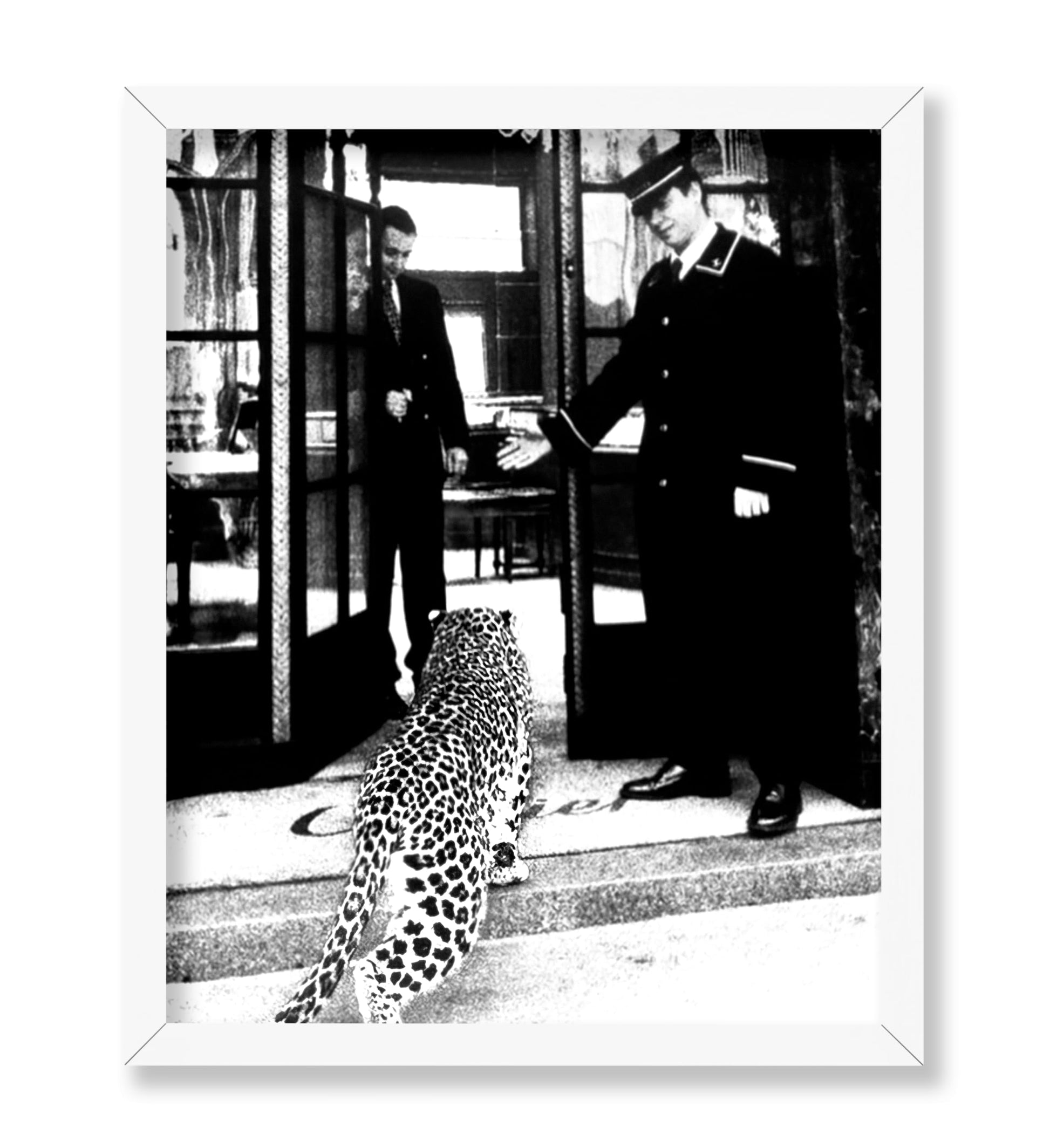 Panther in Fashion Boutique