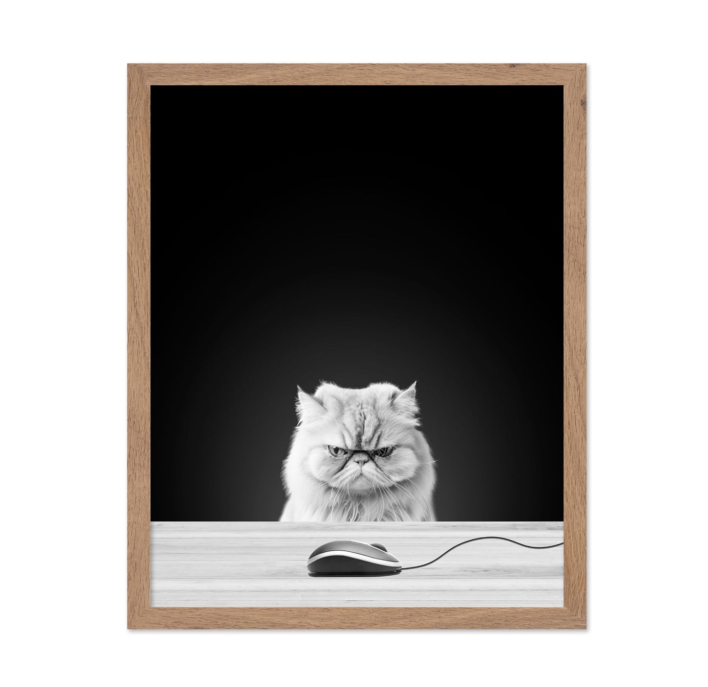 Angry Cat
