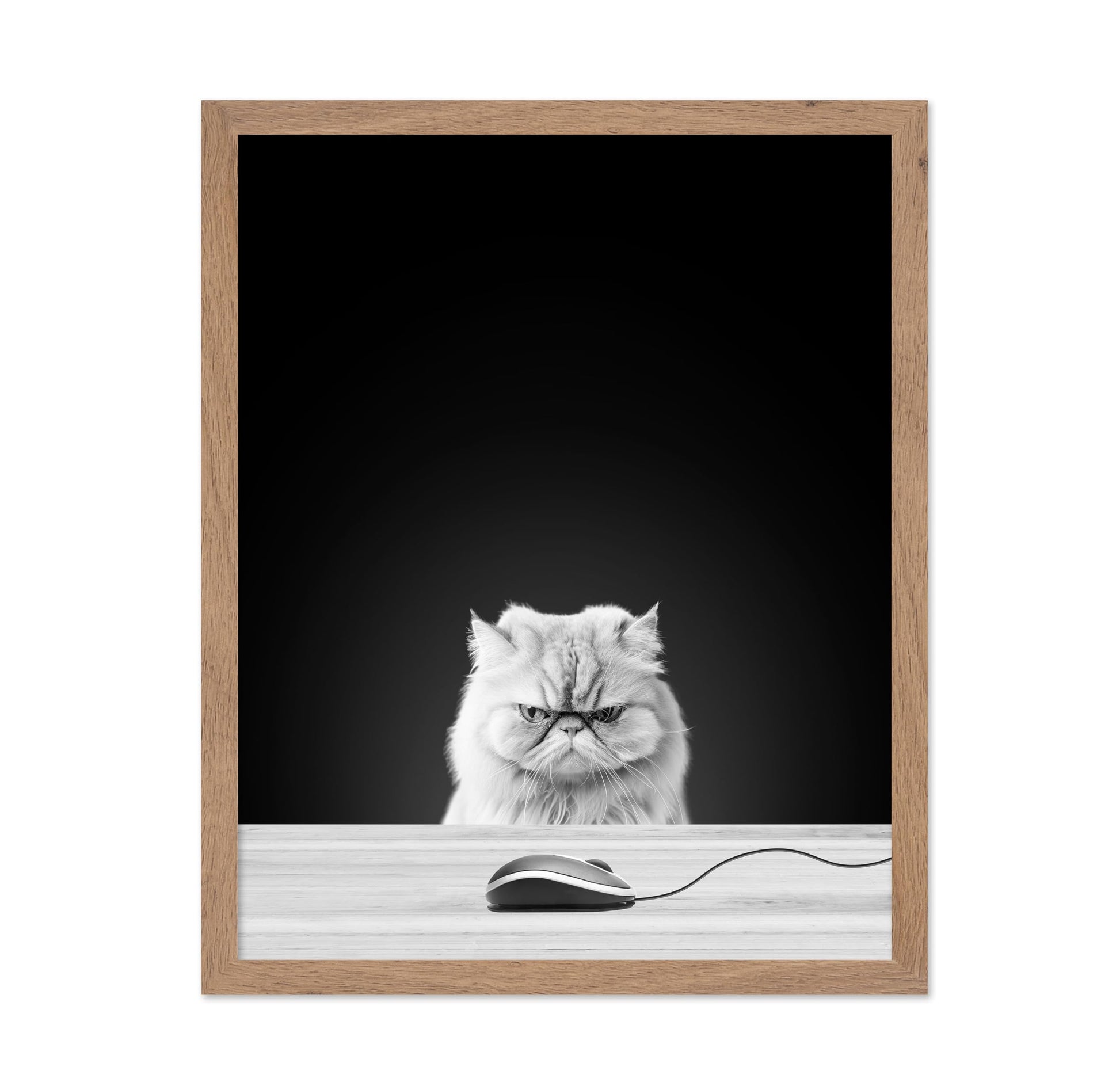 Angry Cat