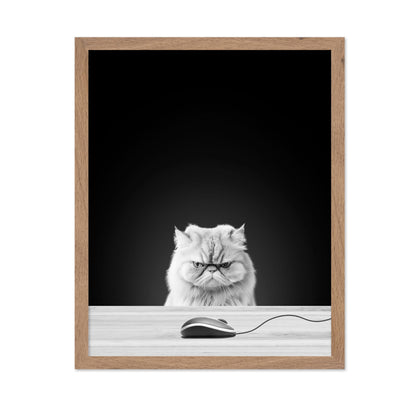 Angry Cat