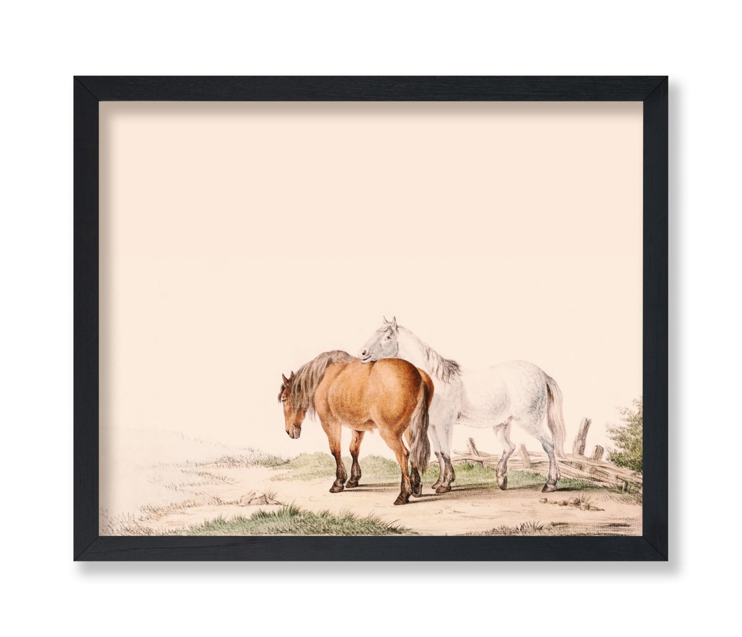 Brown and White Horse