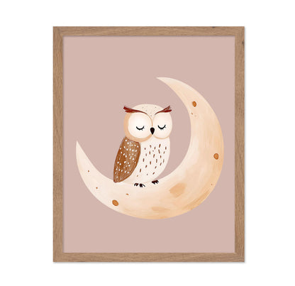 Sleeping Owl