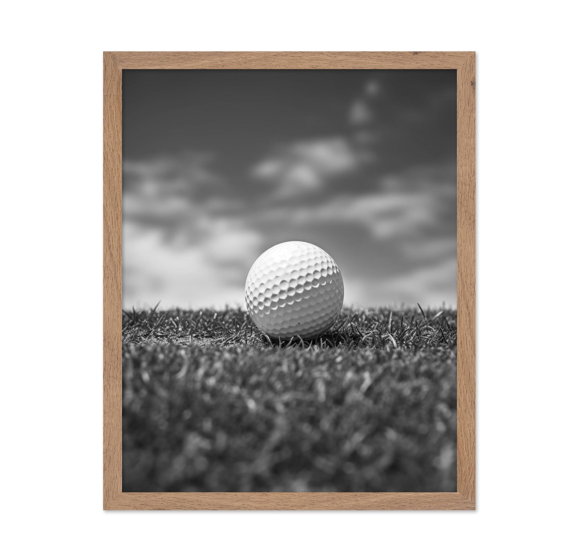 Golf Ball on a Field No1