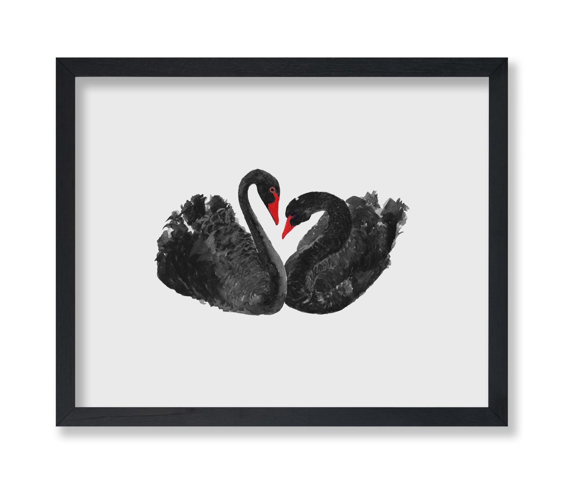 Black Swans