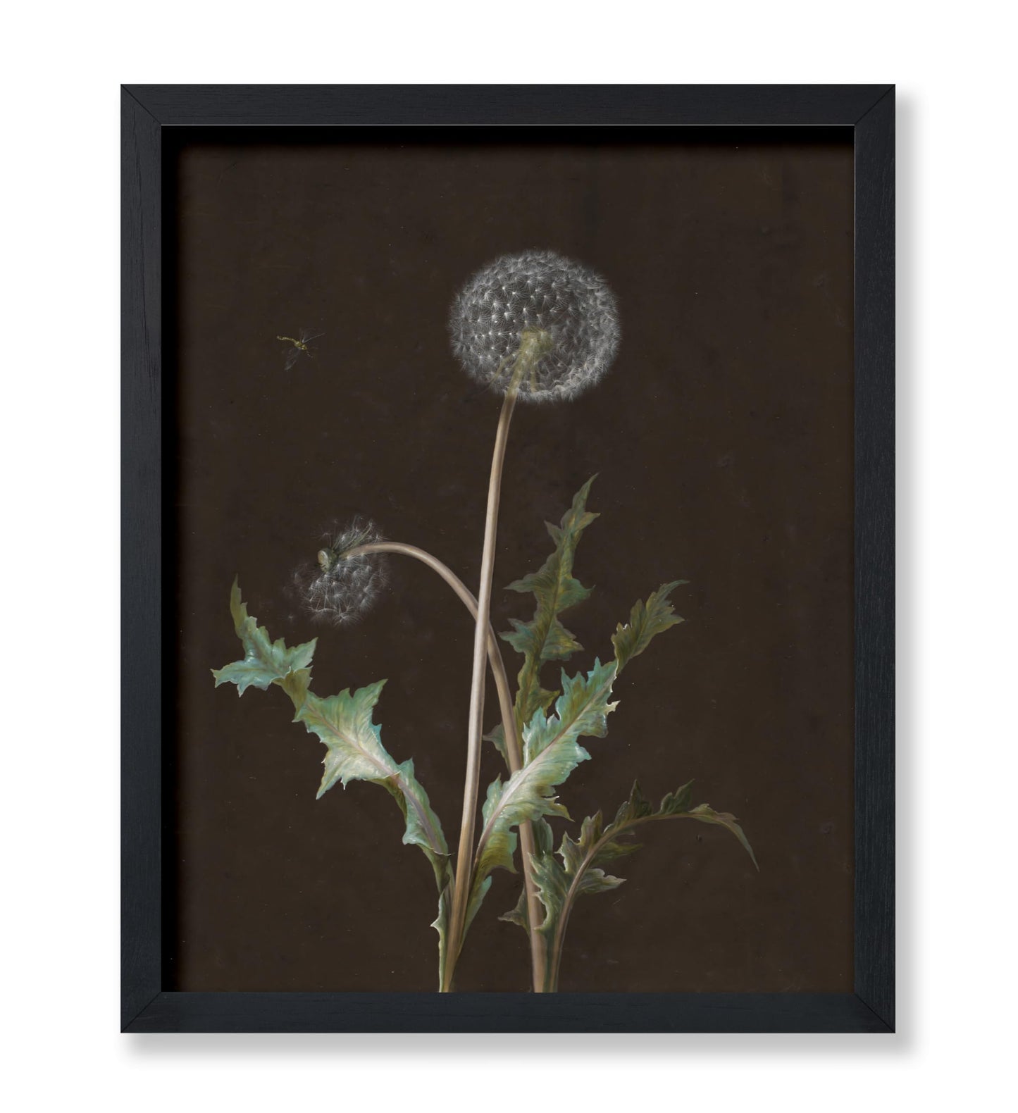 Dandelion