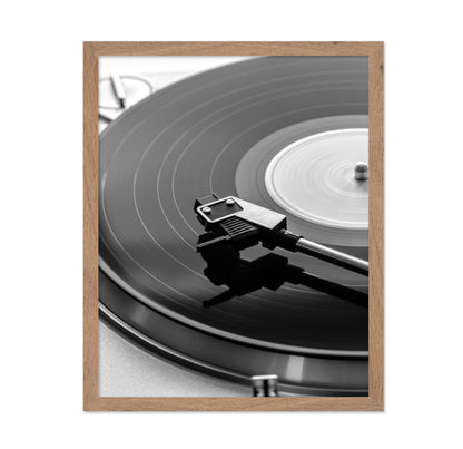 Vinyl Record