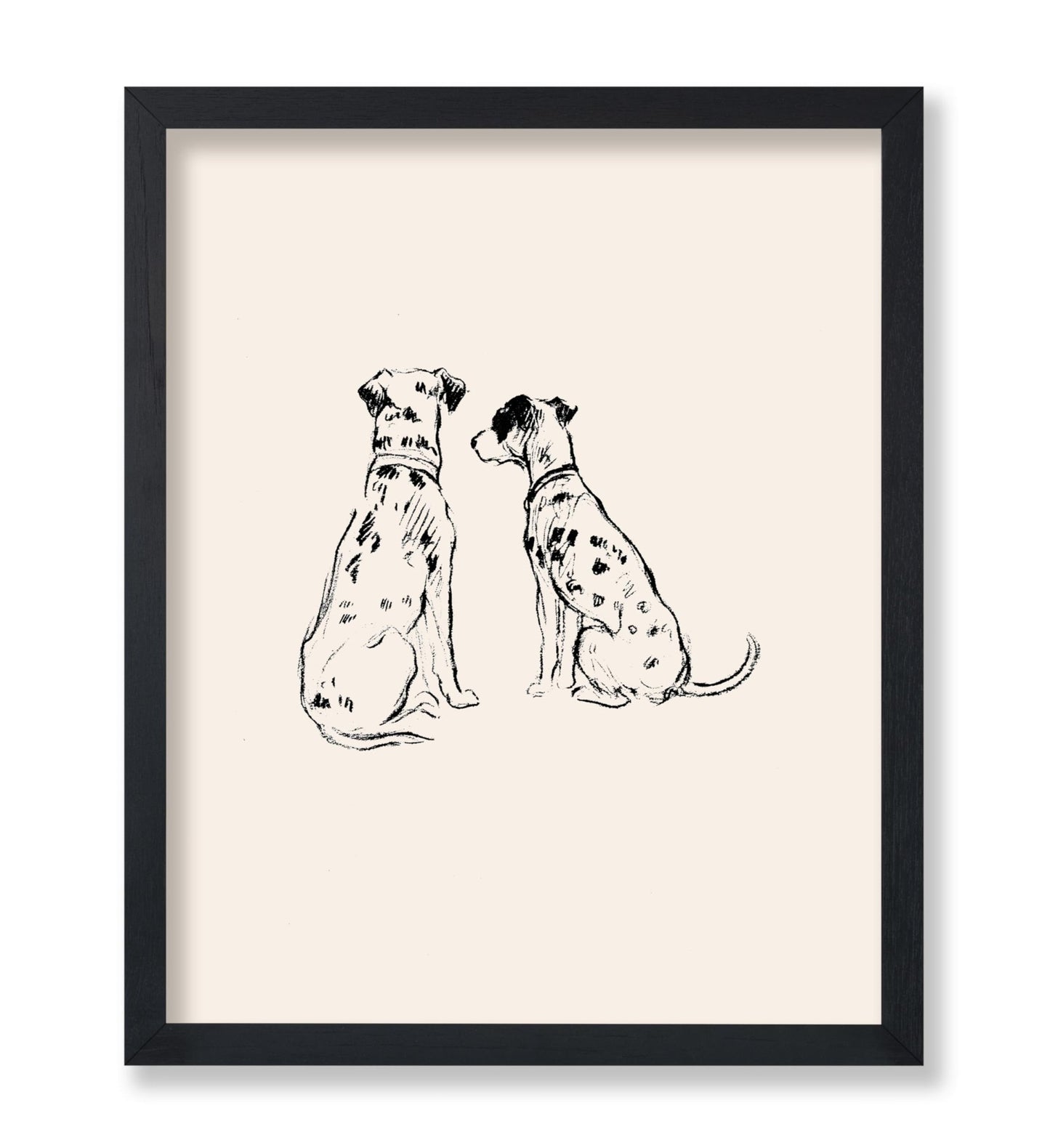 Two Dalmatians
