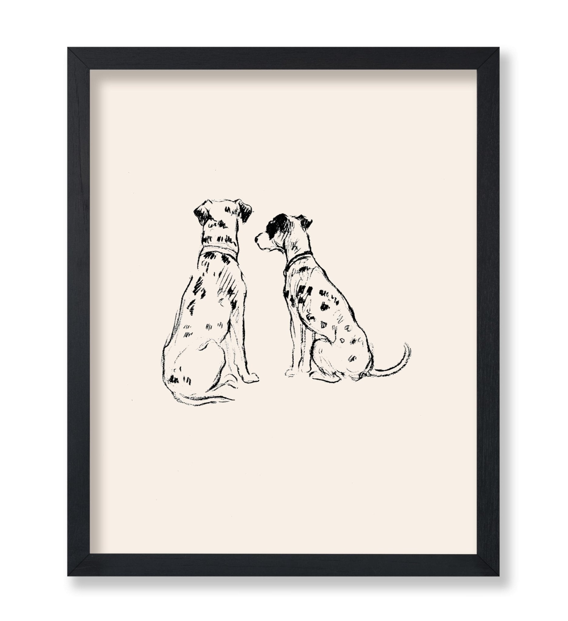 Two Dalmatians