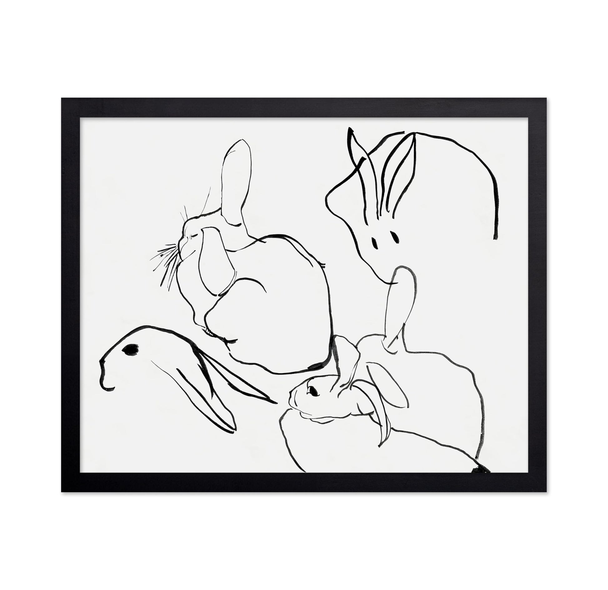Line Drawing of Bunnies