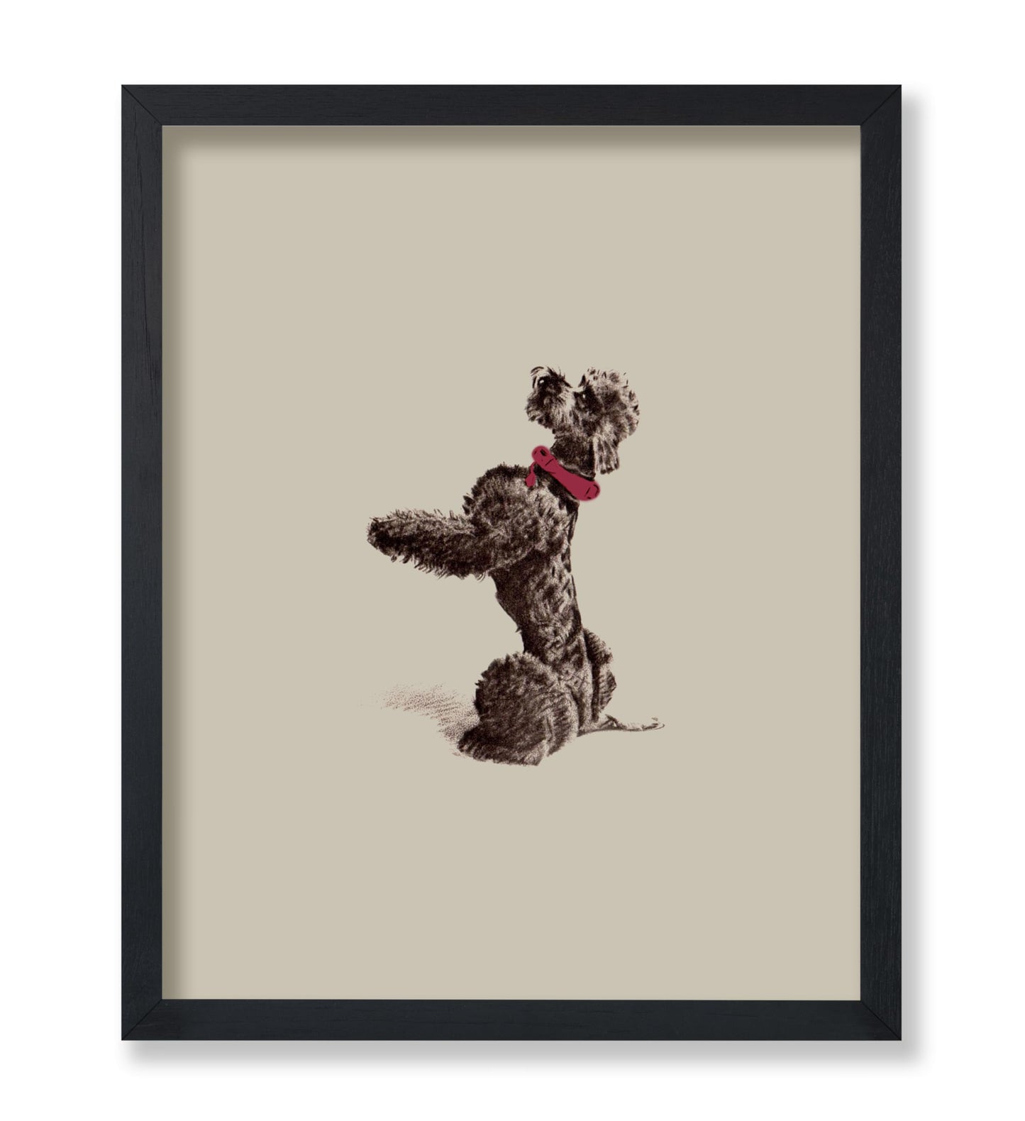 Vintage Poodle