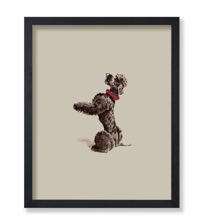 Vintage Poodle
