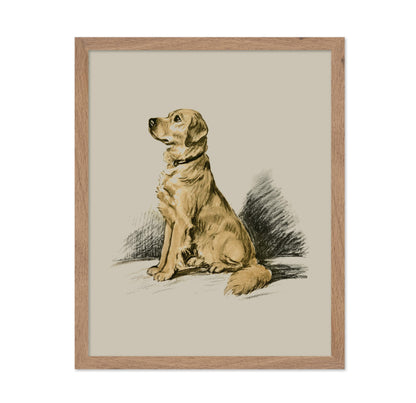 Labrador Retriever No1