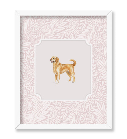 Golden Retriever No2