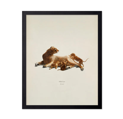 Lion & Cub