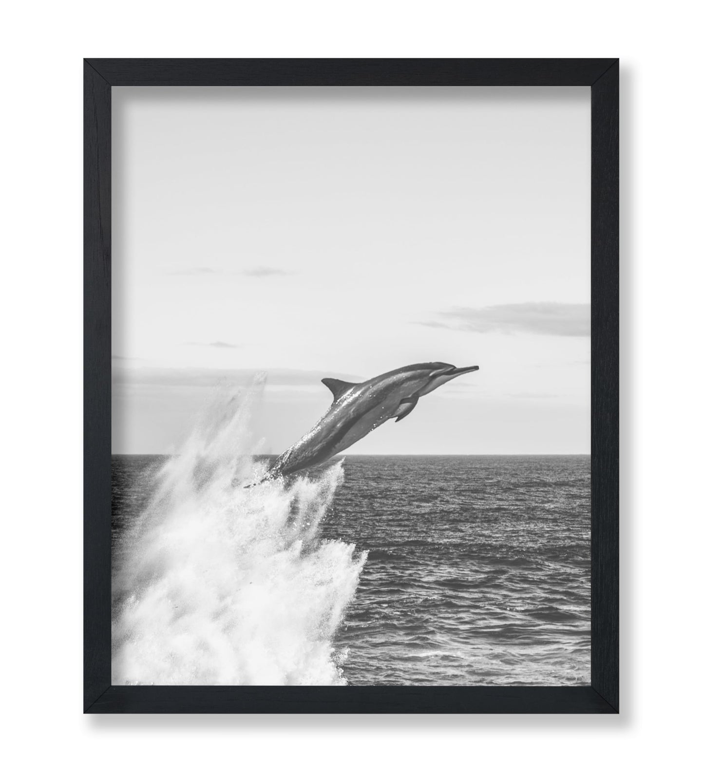 Jumping Dolphin