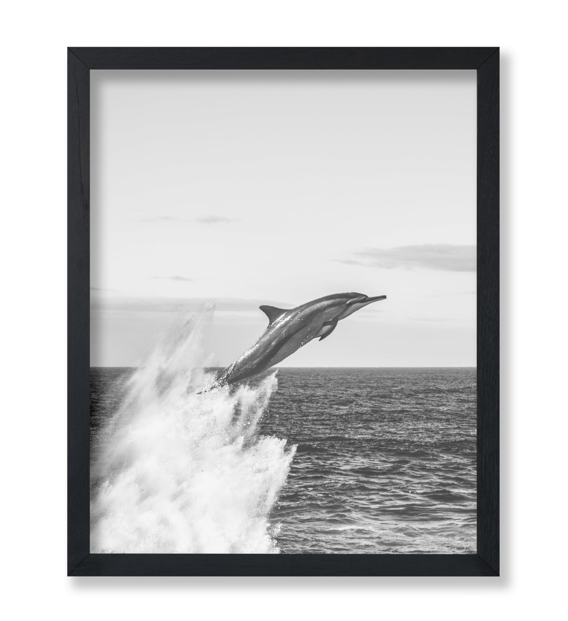 Jumping Dolphin