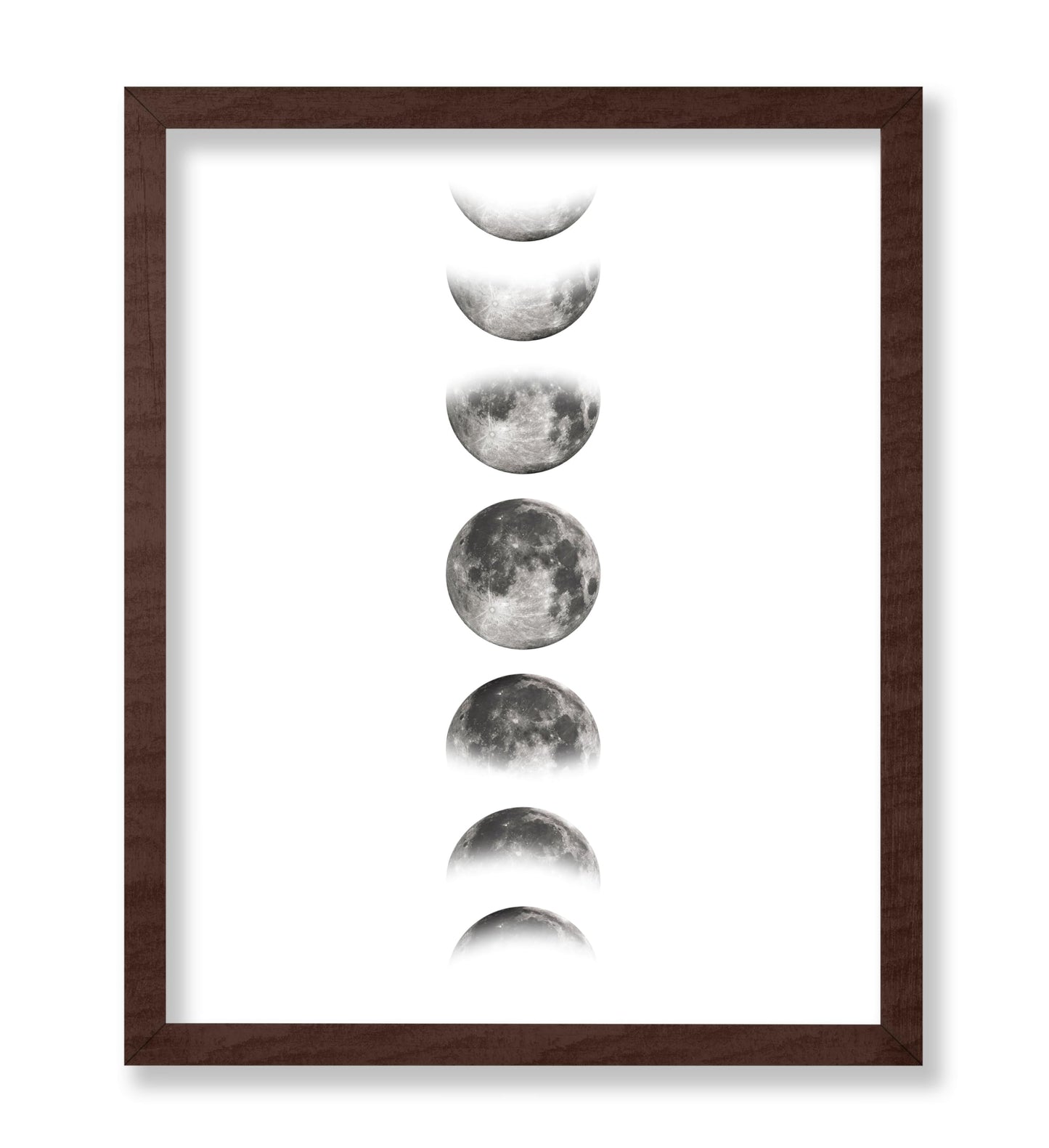 Phases of the Moon No2