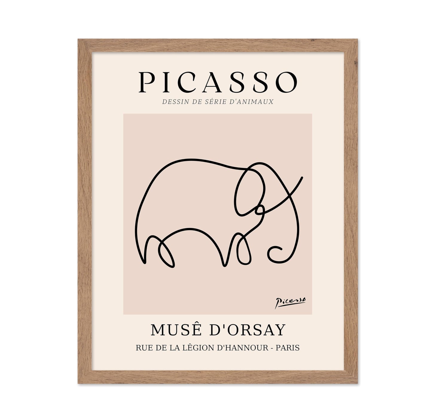 Picasso - One Line Elephant Drawing