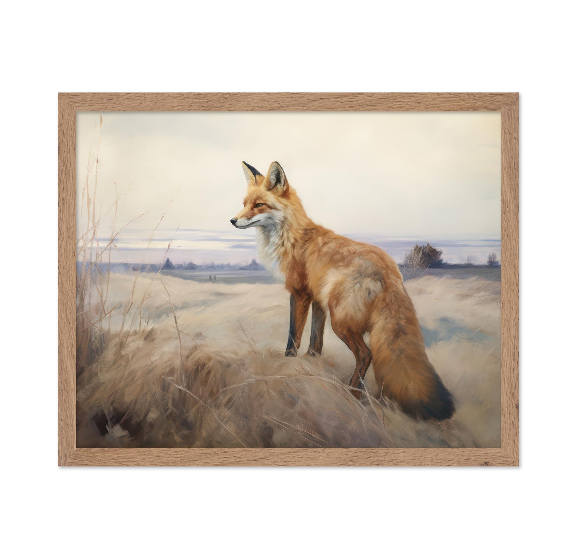 Fox Portrait No2