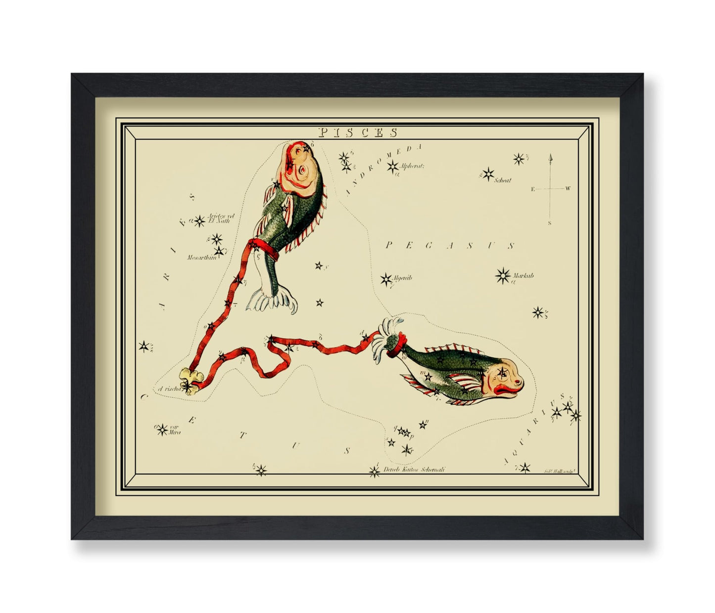 Urania's Mirror Pisces