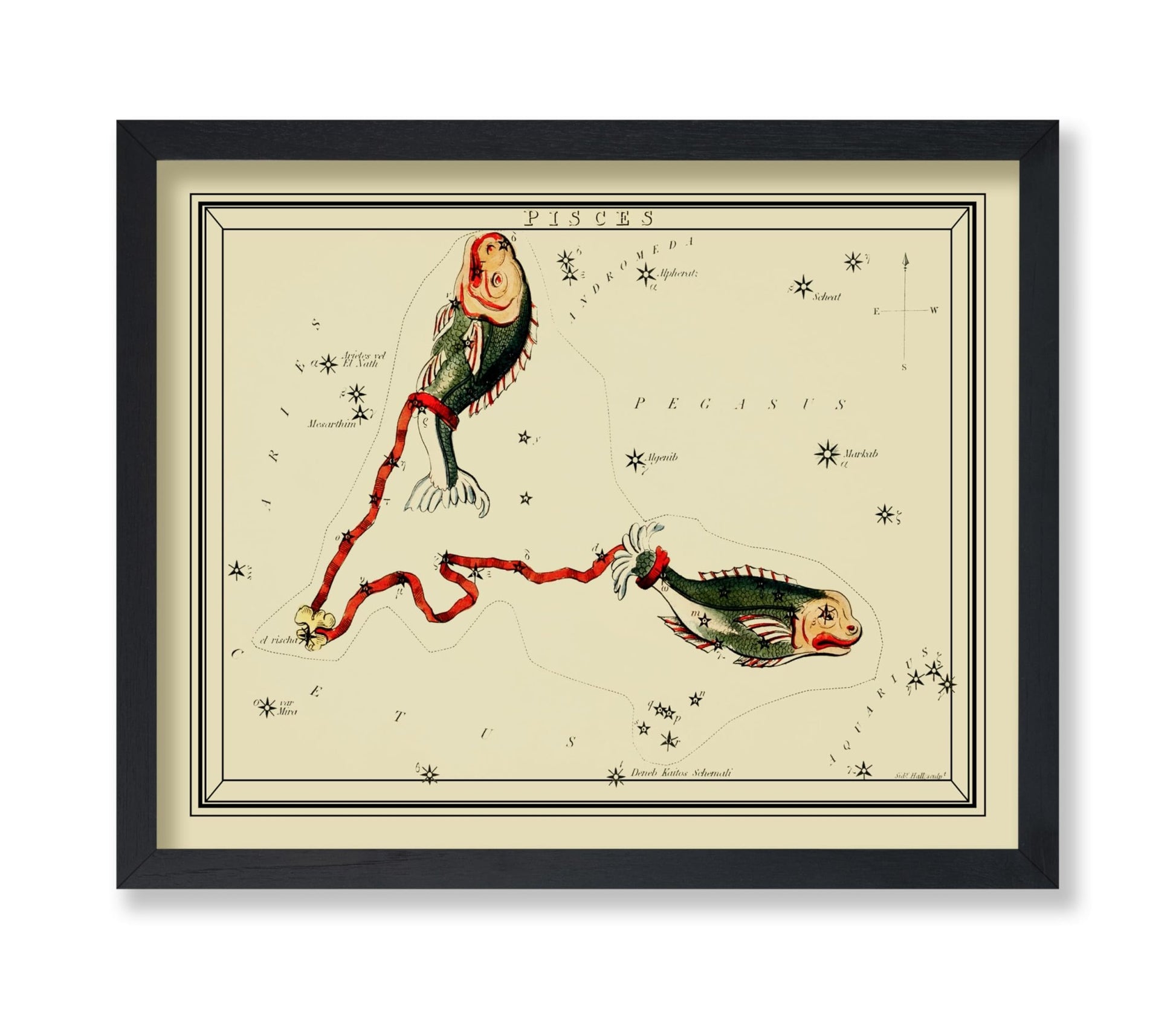 Urania's Mirror Pisces