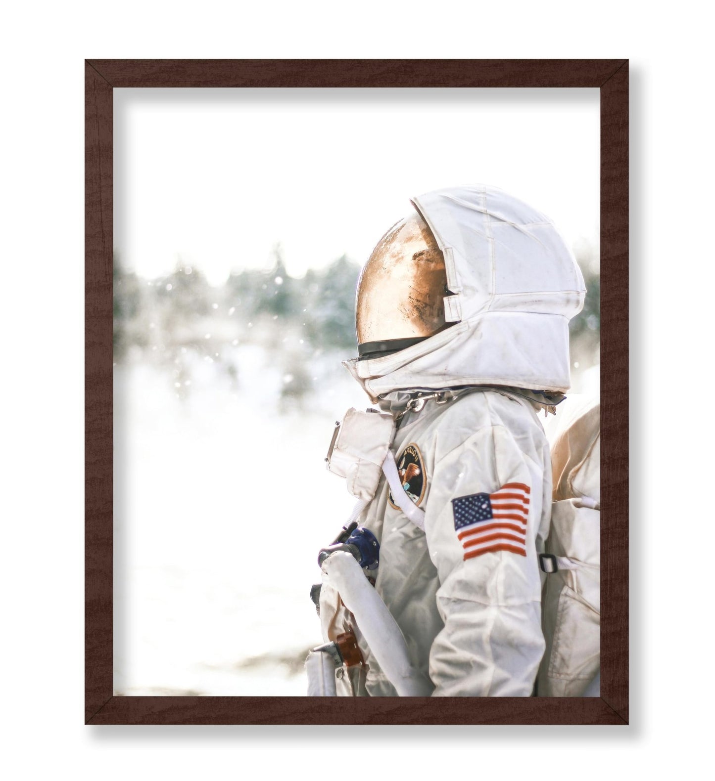 Astronaut