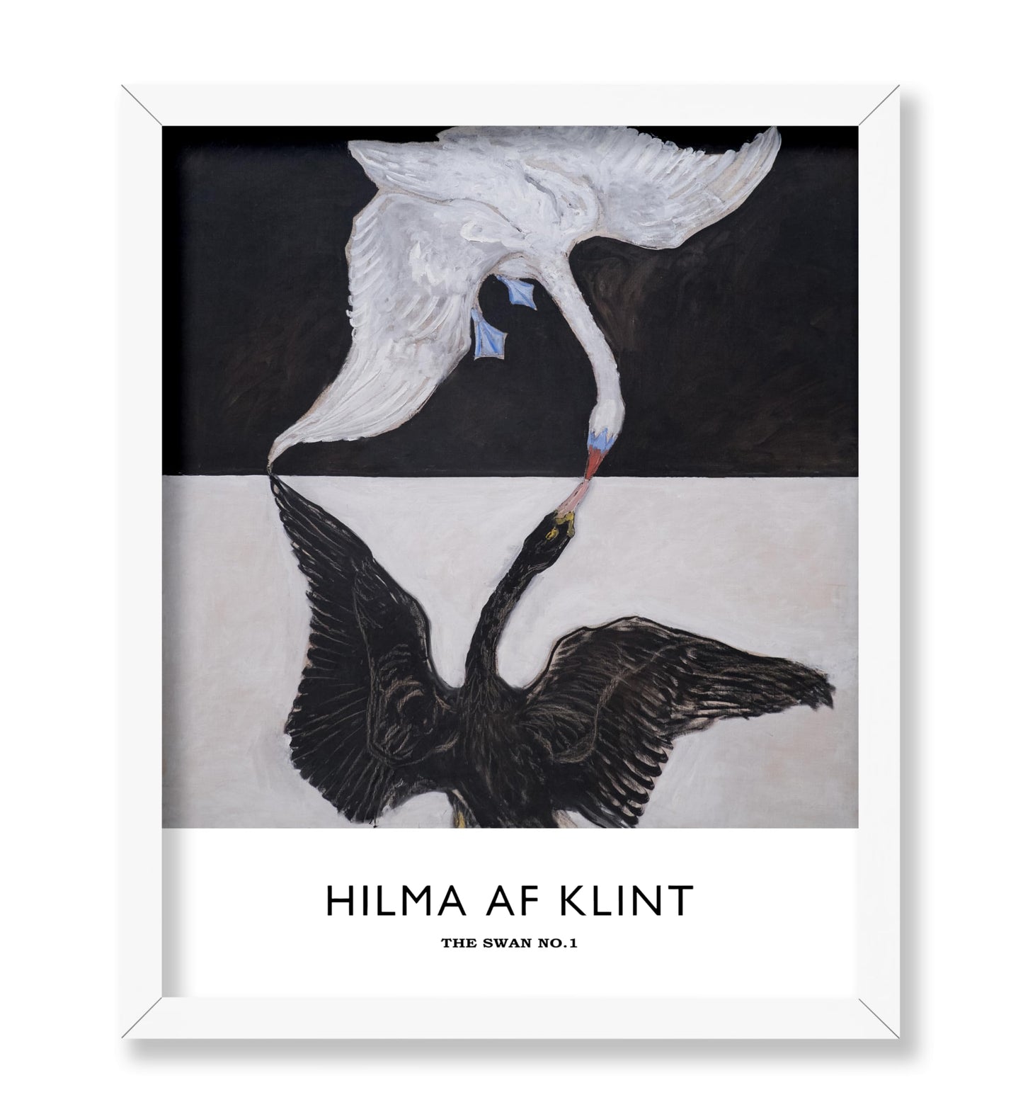 Hilma Af Klimt - The Swan No1