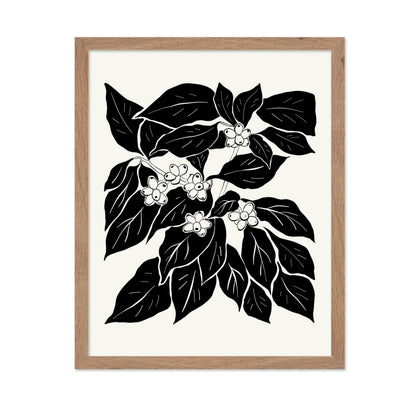 Abstract Plant Illustration