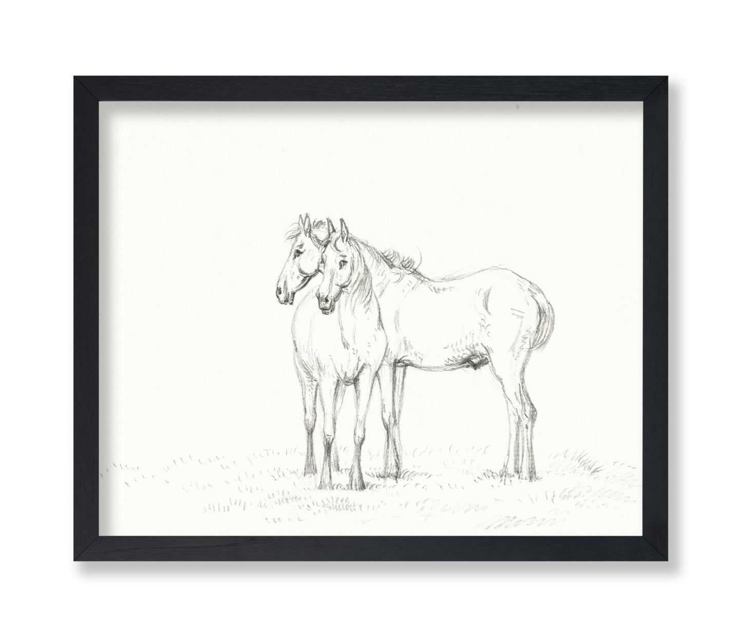 Two Horses Sketch