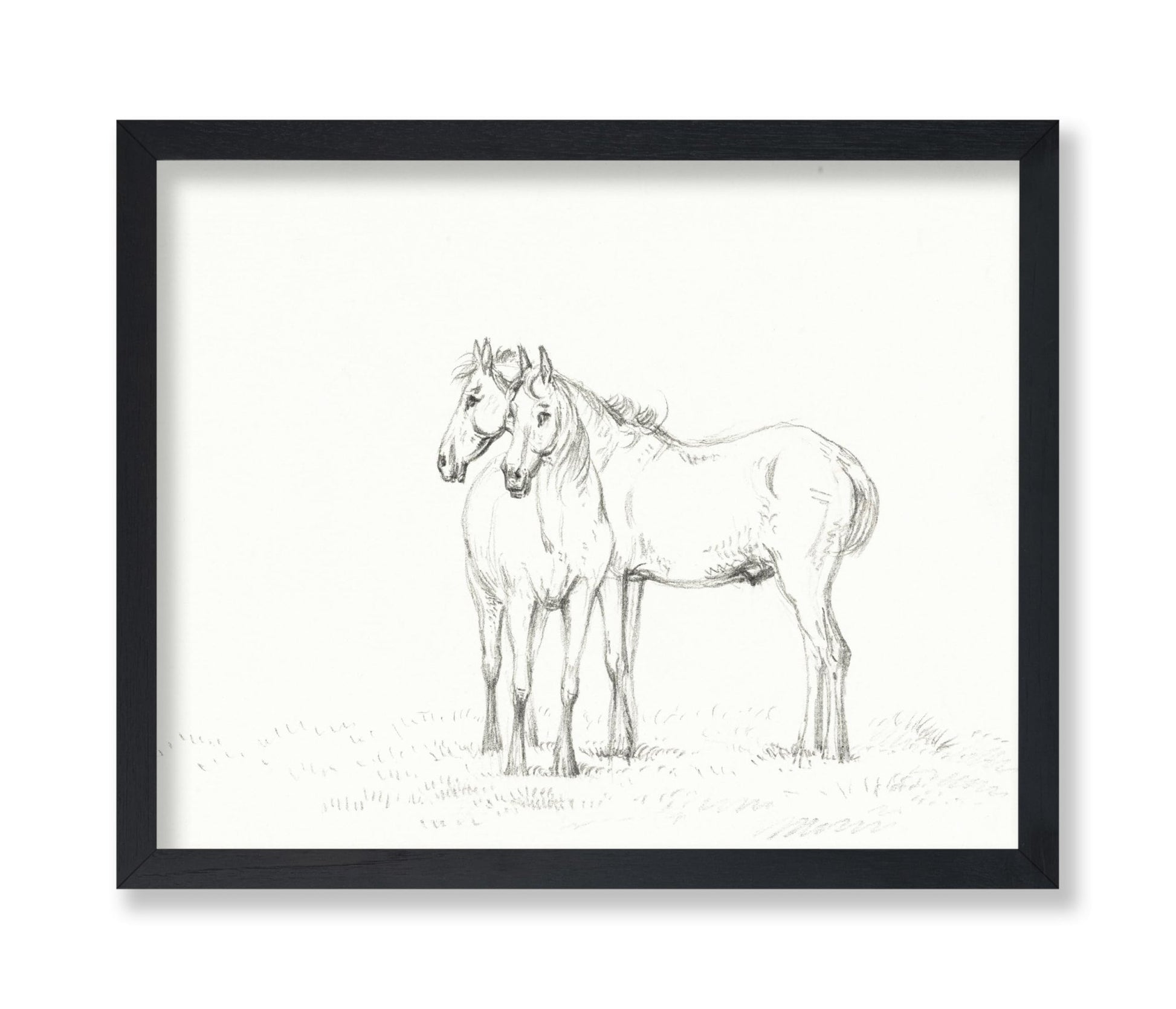 Two Horses Sketch