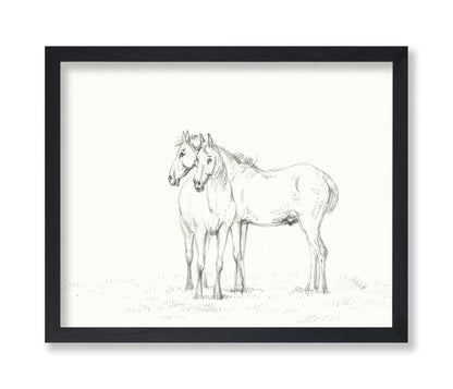 Two Horses Sketch