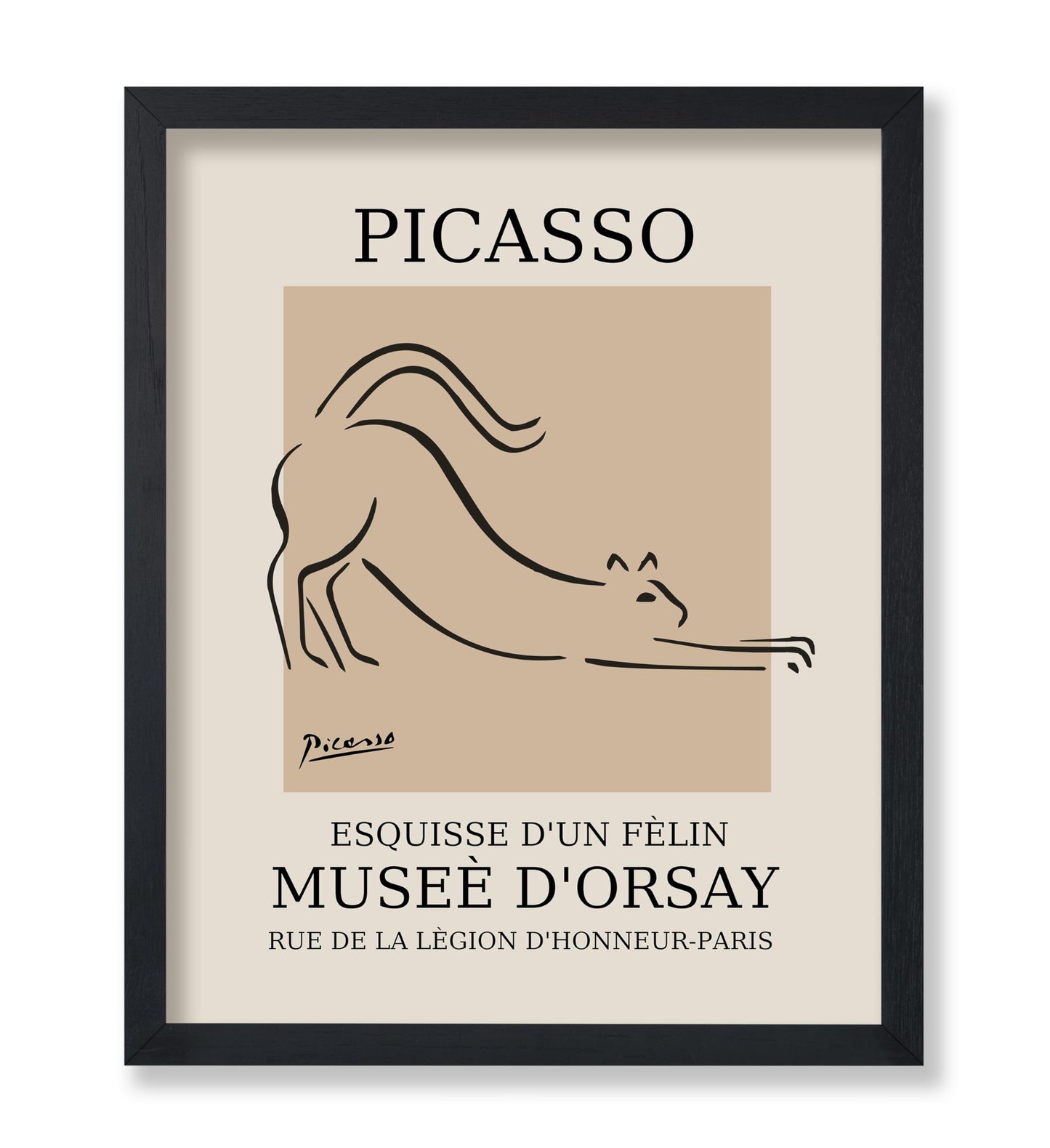 Picasso - Cat