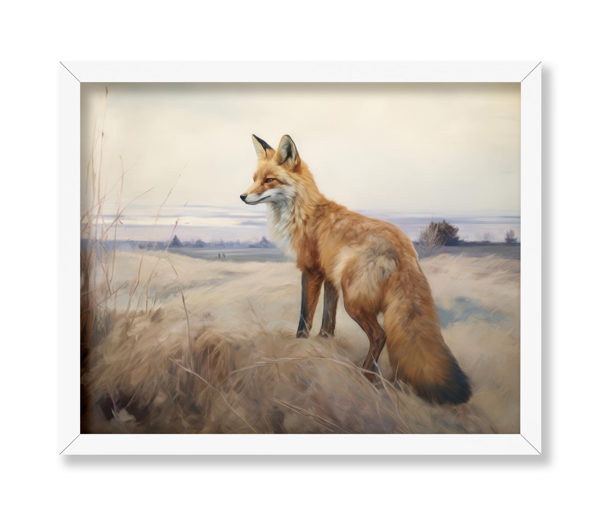 Fox Portrait No2
