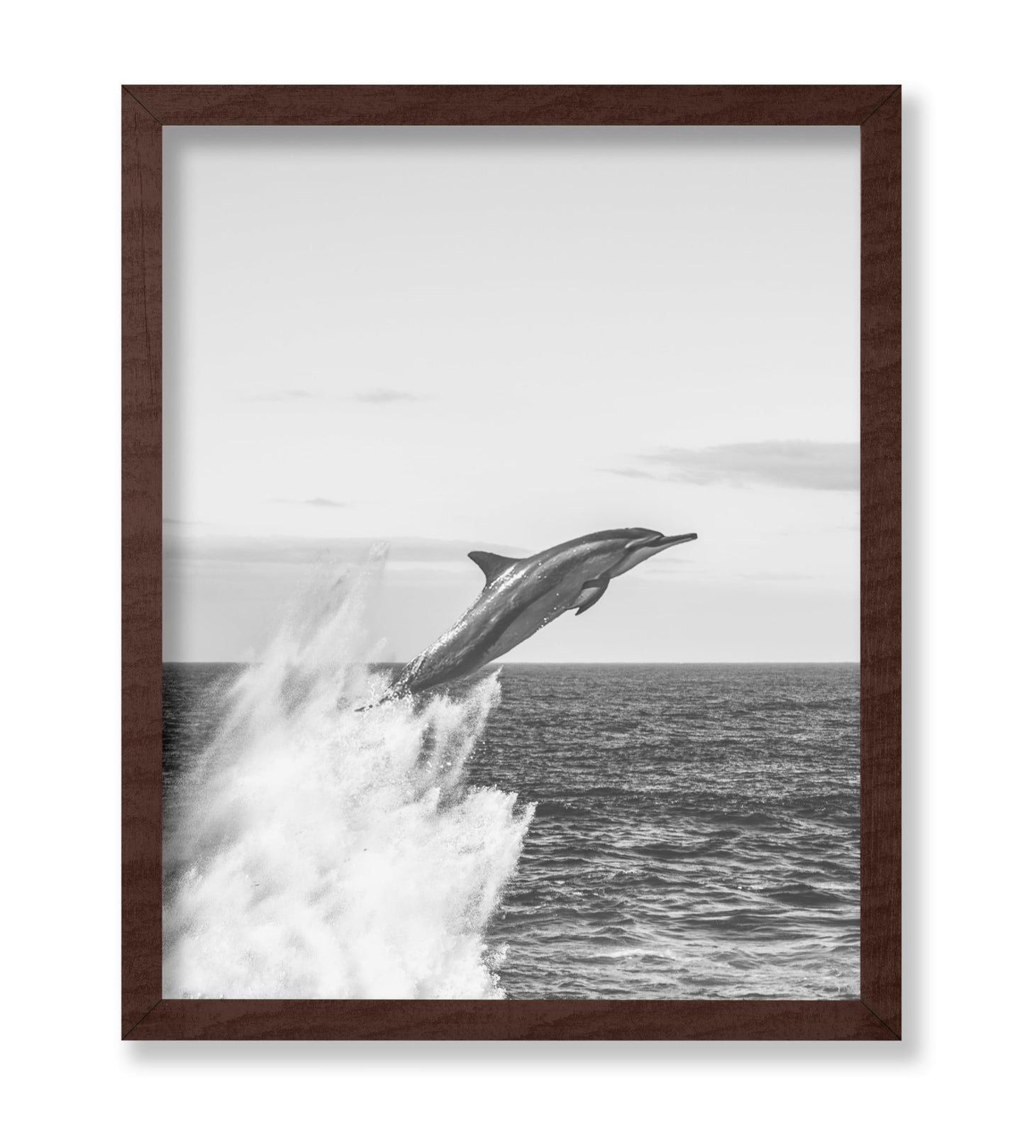 Jumping Dolphin