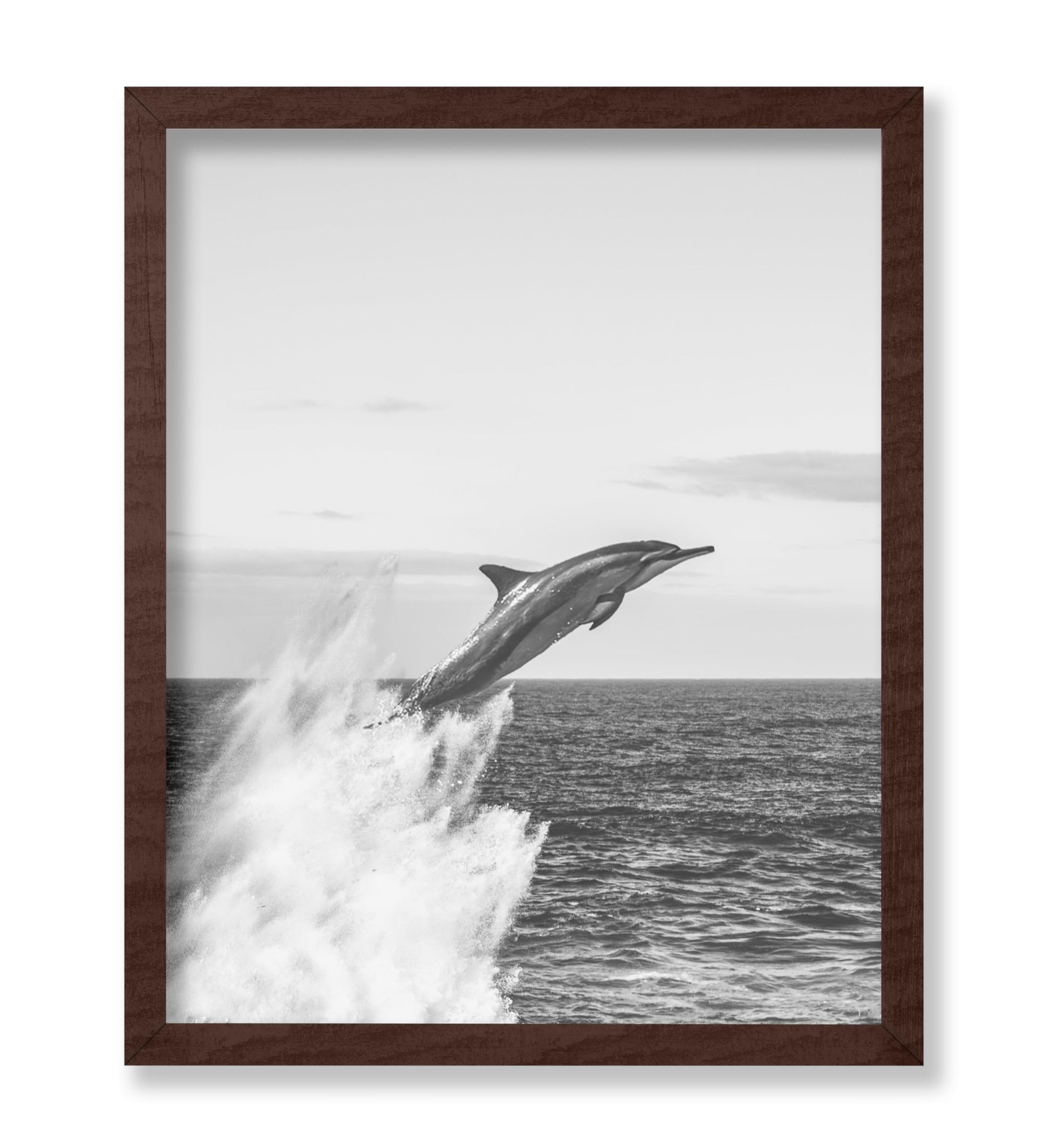 Jumping Dolphin