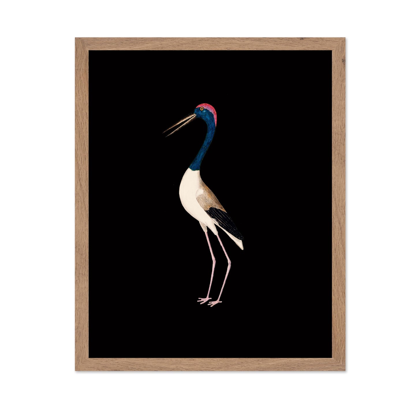 Crane Bird No1