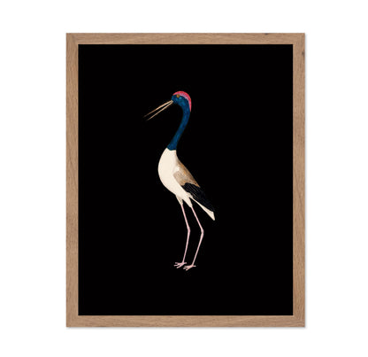 Crane Bird No1