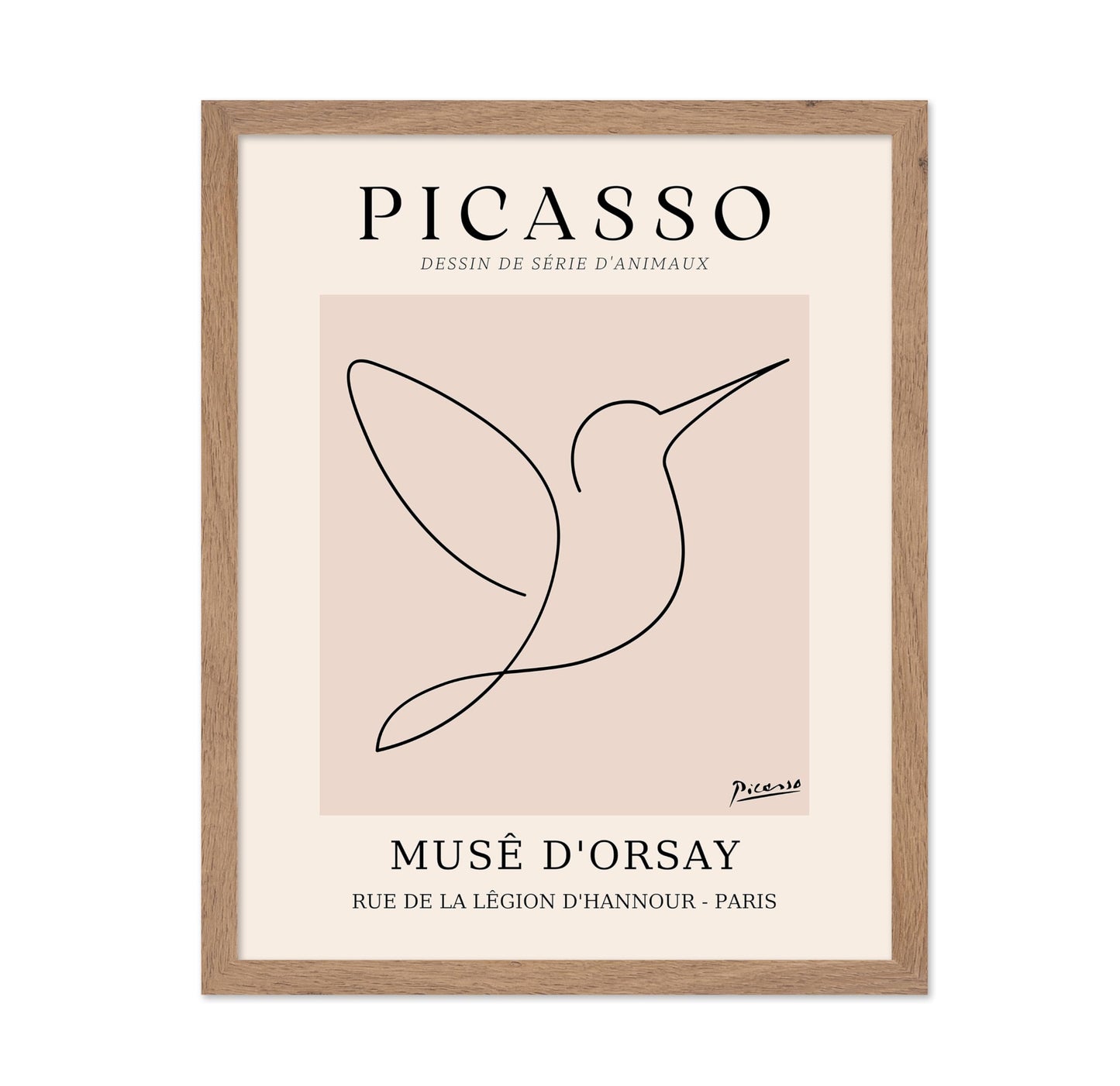 Picasso - One Line Hummingbird Drawing