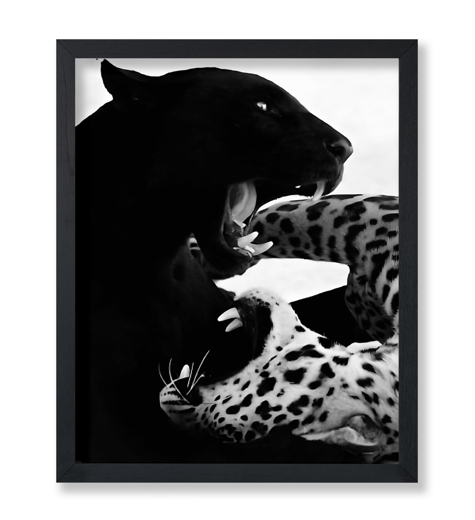 Wild Cats