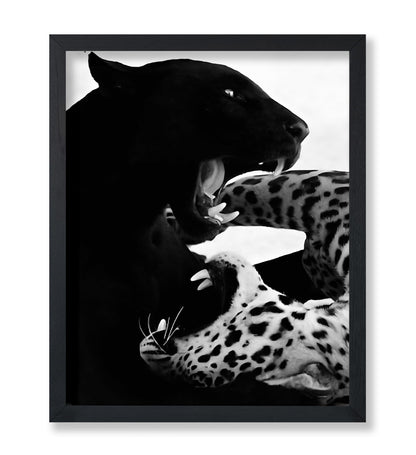 Wild Cats
