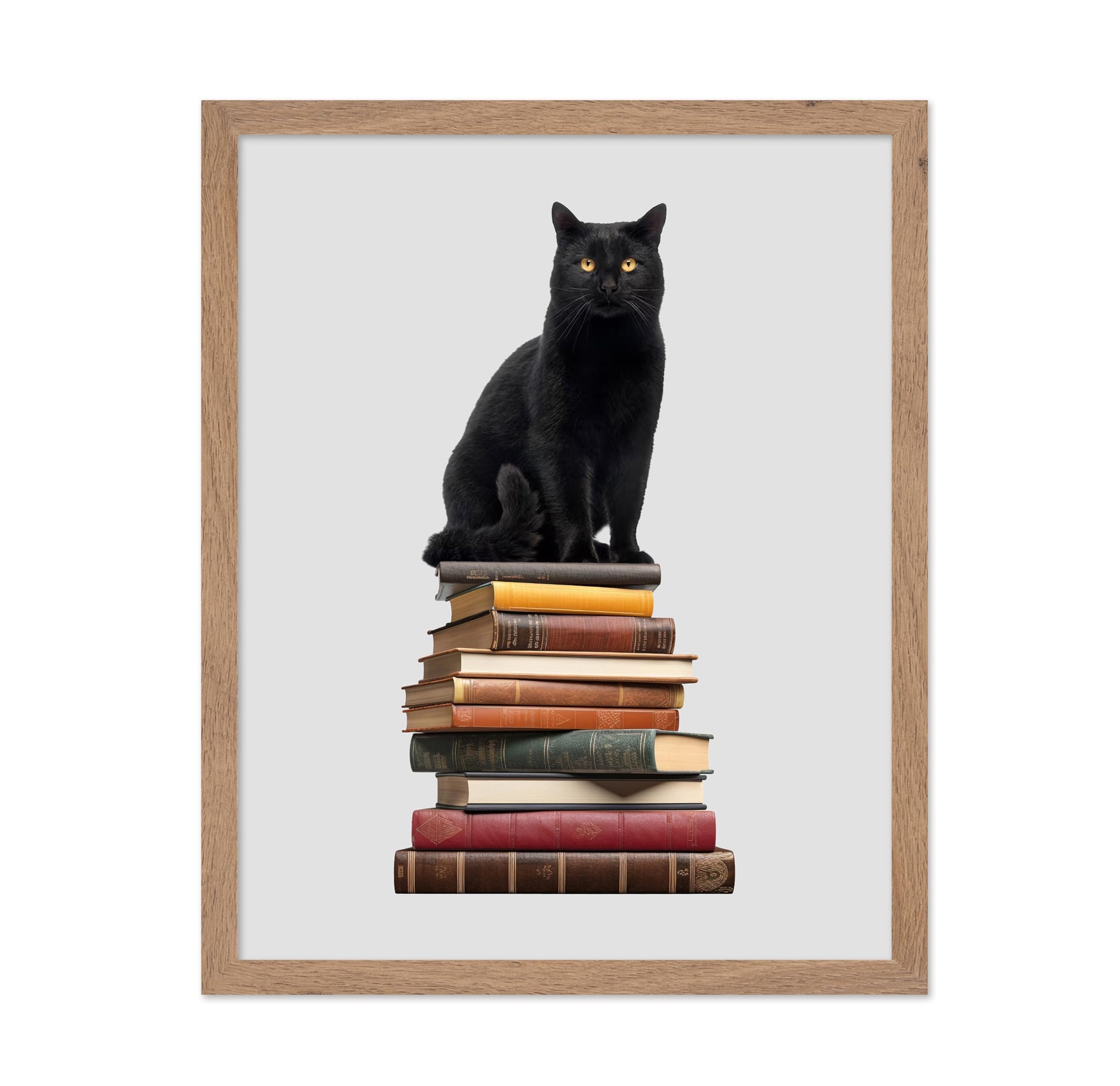 Cat & Books